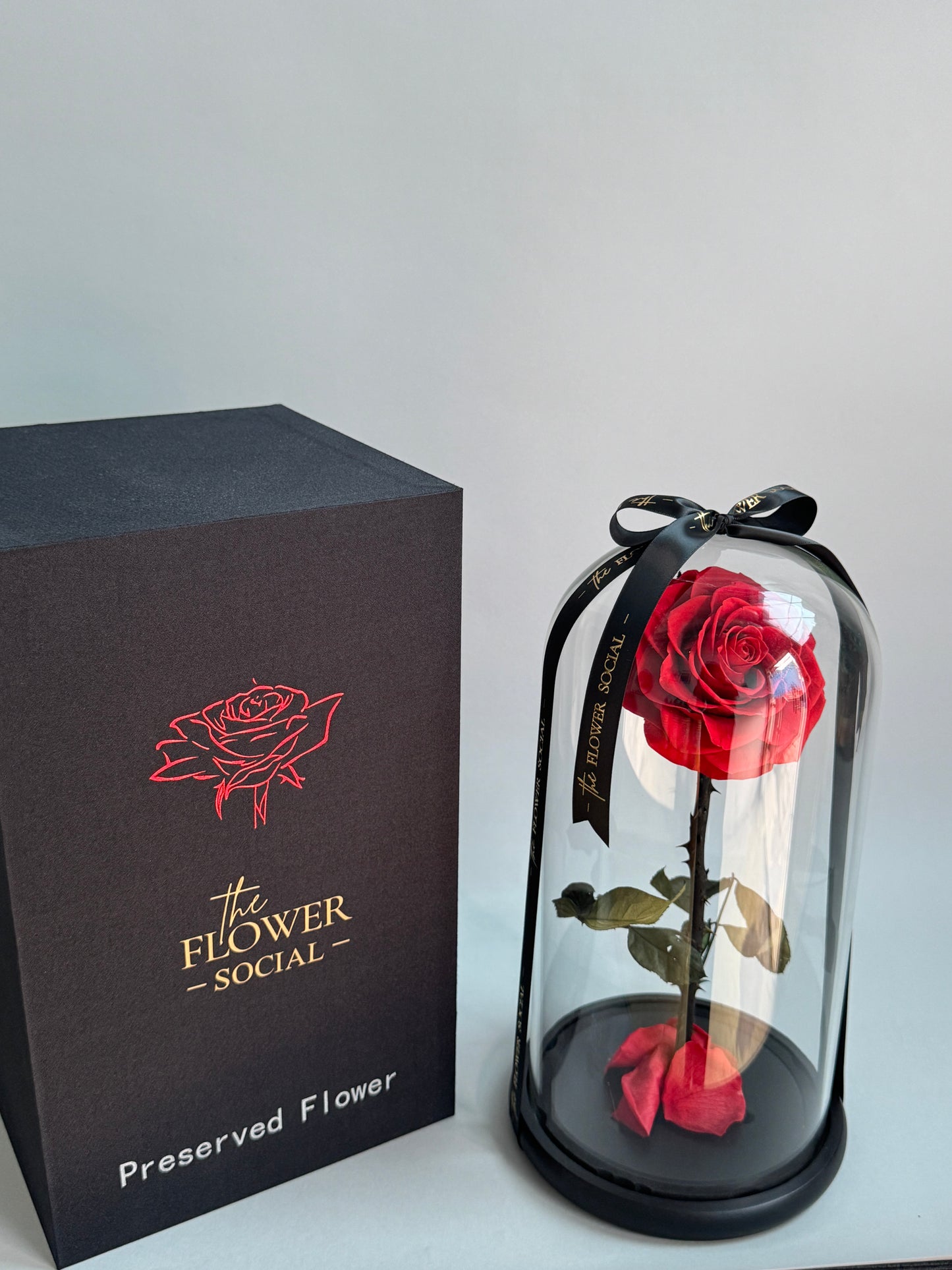 Infinity Rose with Box