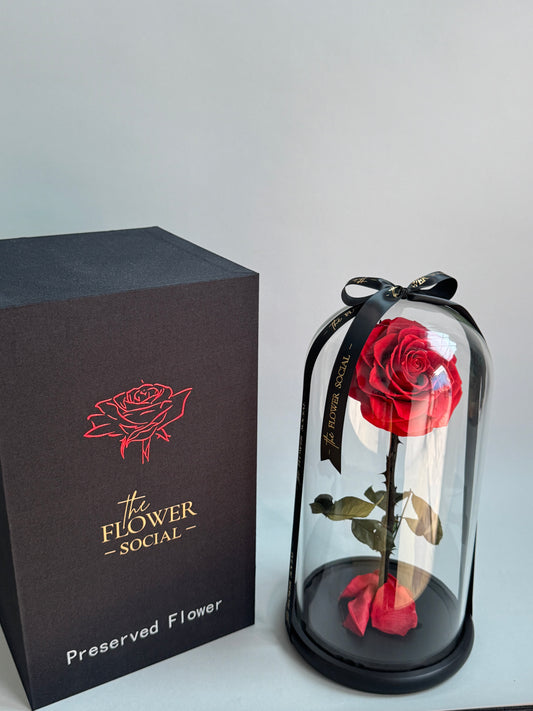 Infinity Rose with Box