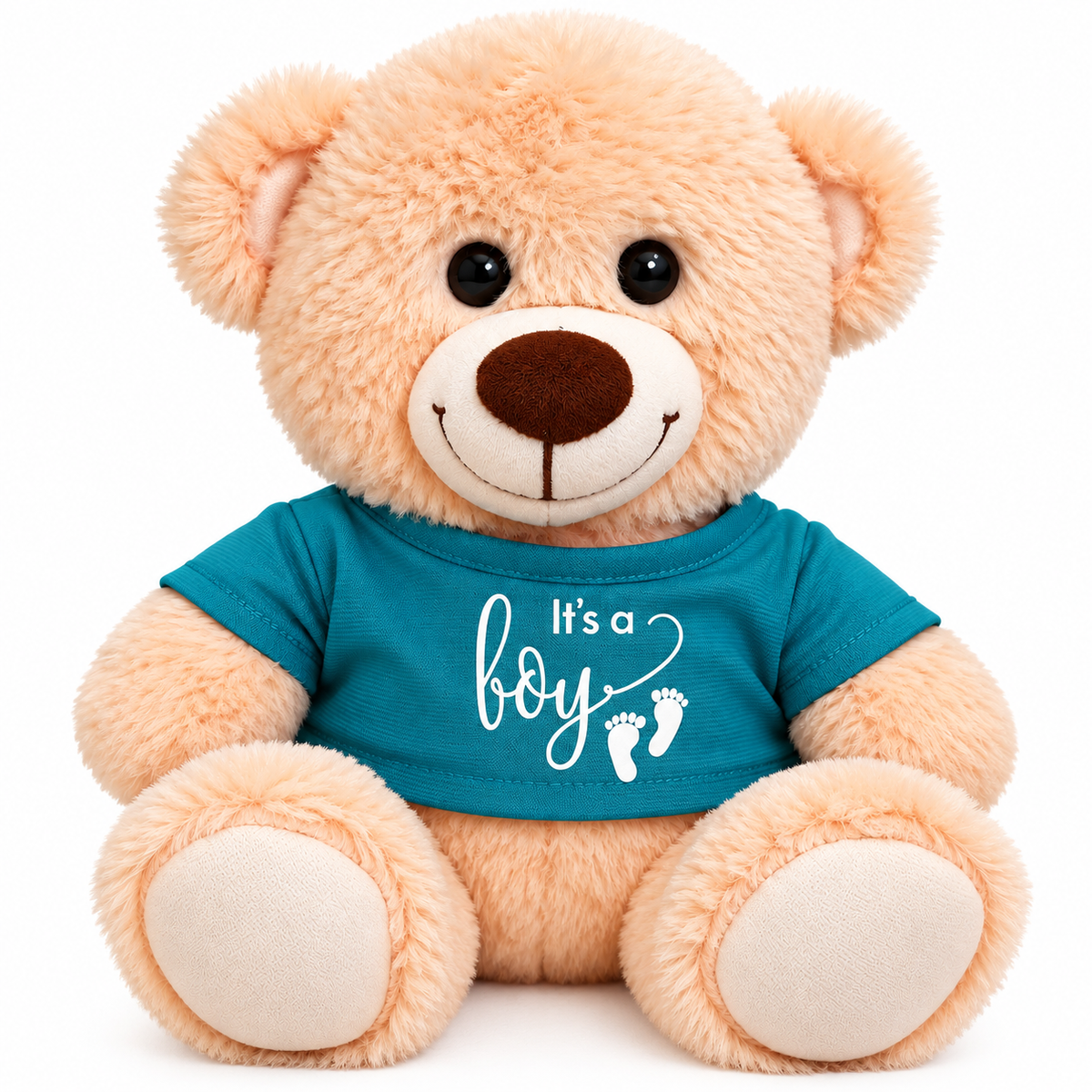 Its a Boy Teddy Bear