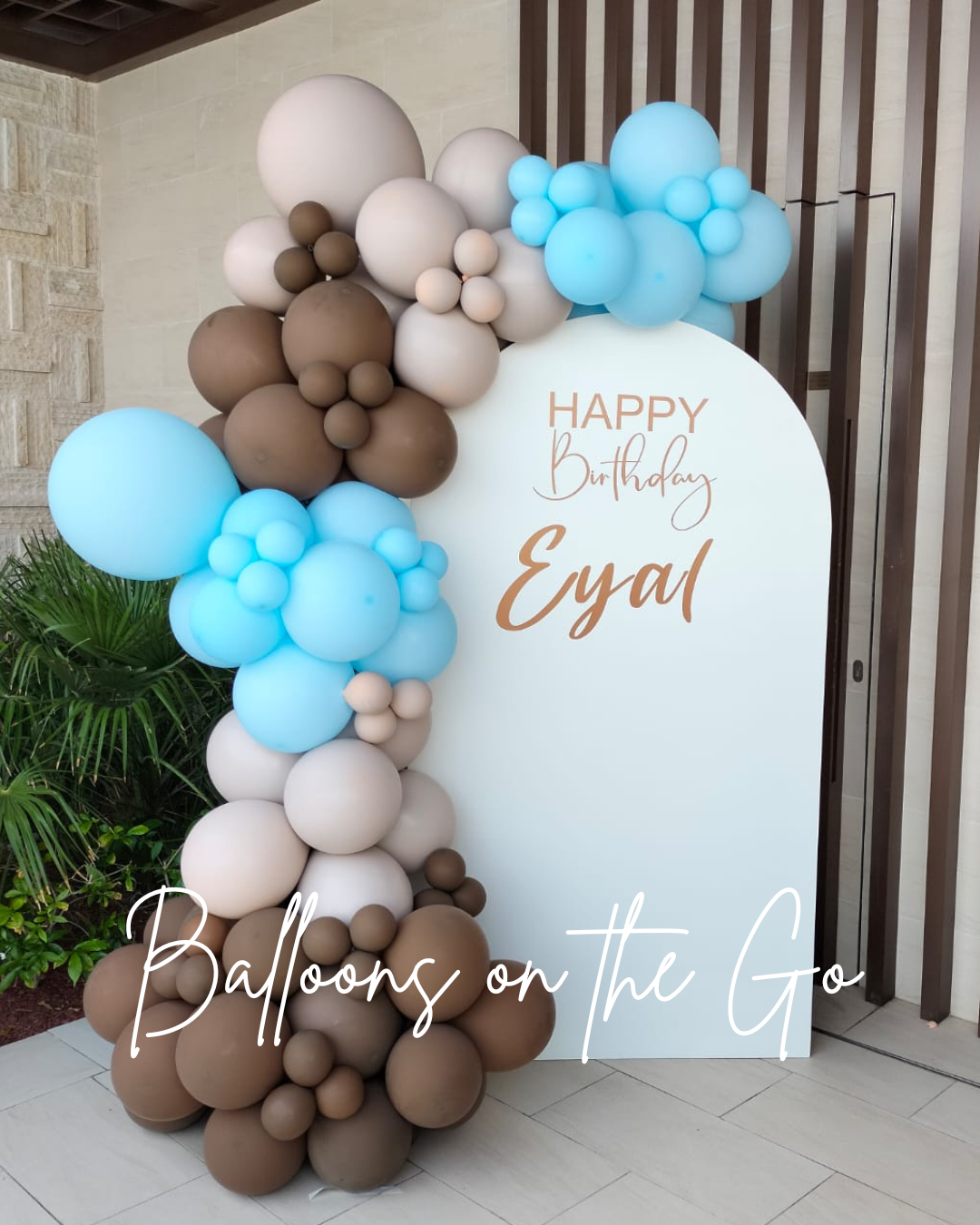 Balloon Garland with Backdrop