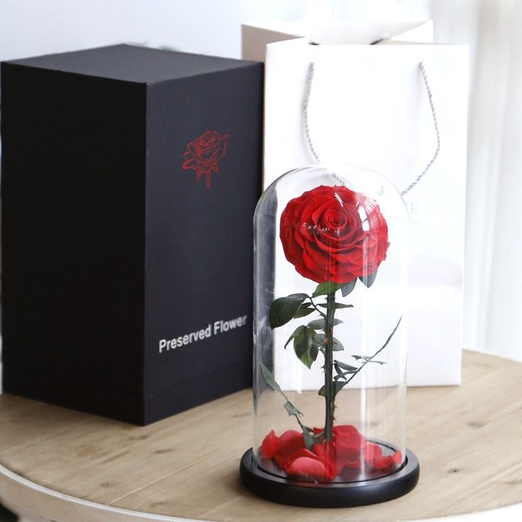 Infinity Rose with Box