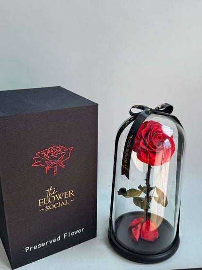 Infinity Rose with Box