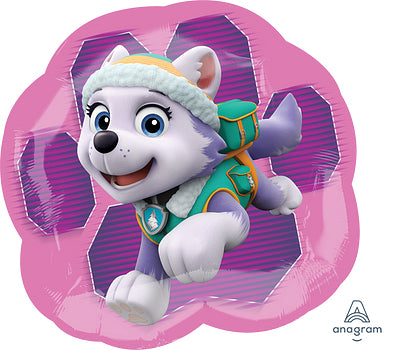 Skye Paw Patrol