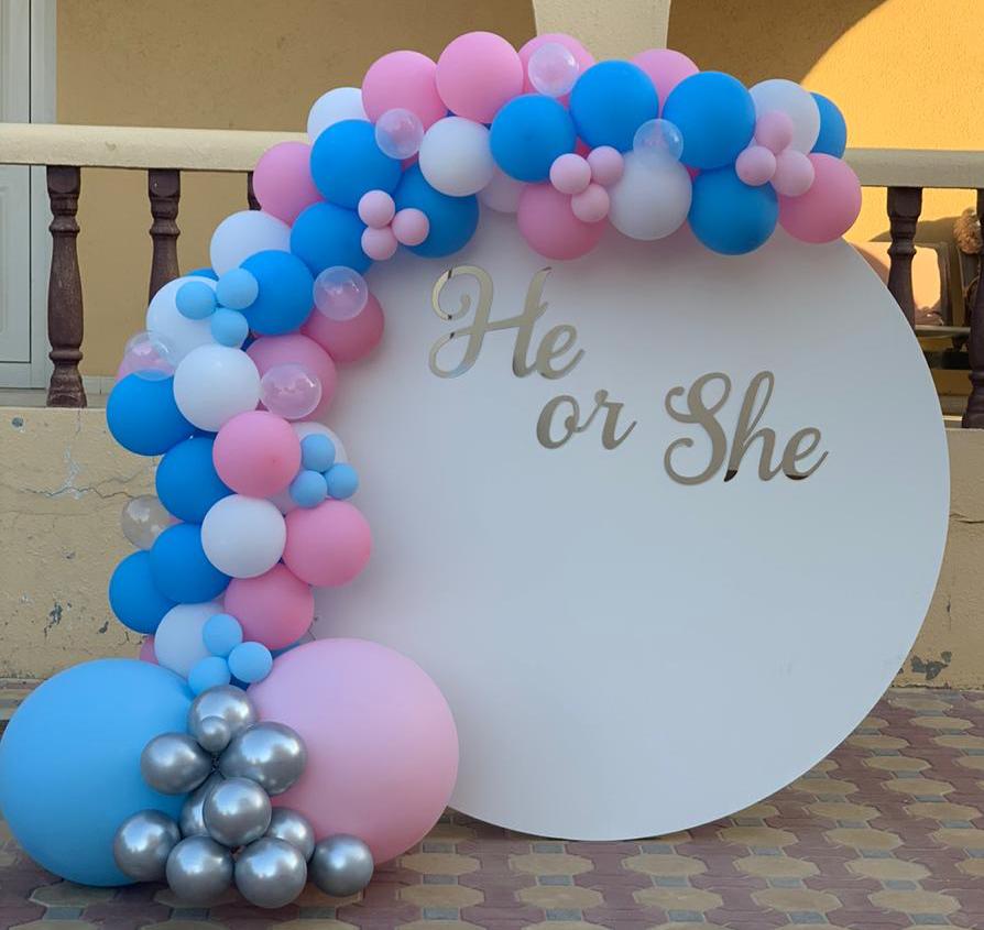 Gender Reveal Balloon Garland / Arch